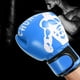thumbnail image 3 of Guantes de boxeo, 1 par de guantes de boxeo Guantes Kenpo Guantes Sanda Innovación moderna, 3 of 8
