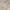 Light Grey/Ivory, variant on SAFAVIEH Windsor Danita Transitional Area Rug, Light Grey/Ivory, 5' x 7'