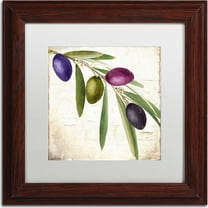 Trademark Fine Art "Olive Branch IV" Canvas Art by Color Bakery, White Matte, Wood Frame