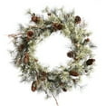 thumbnail image 1 of Vickerman 24" Dakota Artificial Christmas Wreath Unlit, 1 of 1