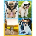 thumbnail image 4 of Lewondr Small Dog Sunglasses UV Protection Goggles Eye Wear Protection with Adjustable Strap Waterproof Doggy Sunglasses for Dogs Pet Sun Glasses Doggie Windproof Anti-Fog Glasses, Black, 4 of 8