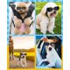 thumbnail image 3 of Gafas para perros, gafas de sol ajustables para mascotas, gafas protectoras a prueba de polvo y resistentes a los rayos UV, resistentes al viento y al agua para perros y gatos pequeños y medianos - Ne, 3 of 5