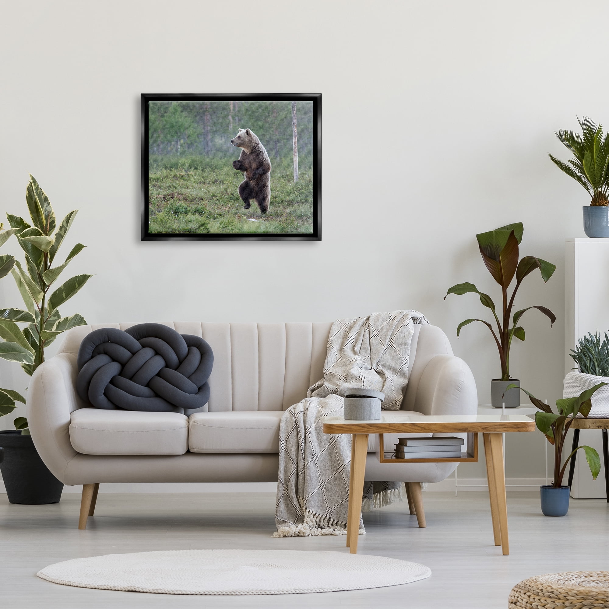 Stupell Industries Dancing Bear in Forest Animals & Insects Photography Black Floater Framed Canvas Art Print Wall Art, 31 x 25