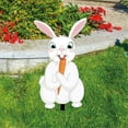 thumbnail image 4 of GZJCKJY Easter Garden Decorations Easter Egg Rabbit Ground Insert Decoration Acrylic Hollow Animal Figurines Yard Insert Garden Supplies, 4 of 8