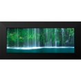 thumbnail image 2 of Mikaels, Natalie 14x8 Black Modern Framed Museum Art Print Titled - Hidden Paradise, 2 of 5