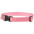 thumbnail image 1 of Collar ajustable para perros LupinePet Basics, rosa, 16-28 pulgadas, 1 of 2