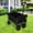 Black, variant on 100L Collapsible Folding Beach Wagon Cart With 220Lbs Large Capacity, Wagons Carts Heavy Duty Foldable With Big Wheels For Sand, Garden, Camping,Purple