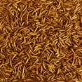 thumbnail image 4 of Kaytee Mealworm Food Pouch for Wild Birds, 17.6 Ounces, 4 of 9