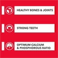 thumbnail image 2 of Drools Absolute Calcium Bone Jar, Dog Supplement - 20 pieces (300g), 2 of 5