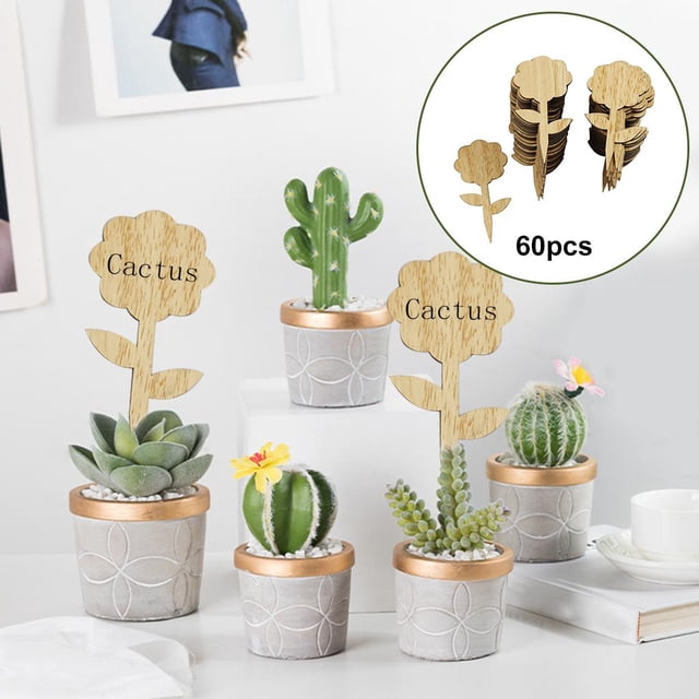 Etiquetas de plantas conjunto de etiquetas en maceta plantas guardería 60 piezas flor C Cola Etiqueta de plantas