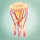 thumbnail image 4 of Medusas simuladas,Modelo de medusas simuladas,juguete para niños,animales marinos,Modelo de animales marinos simulados,medusas blandas,Juguetes educativos para niños, marina, 4 of 8