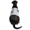 thumbnail image 3 of Disfraz de tiburón Pet Krewe para perros y gatos | Talla grande, 3 of 8