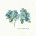 thumbnail image 2 of Audit, Lisa 12x12 White Modern Wood Framed Museum Art Print Titled - My Greenhouse Forget Me Not, 2 of 4