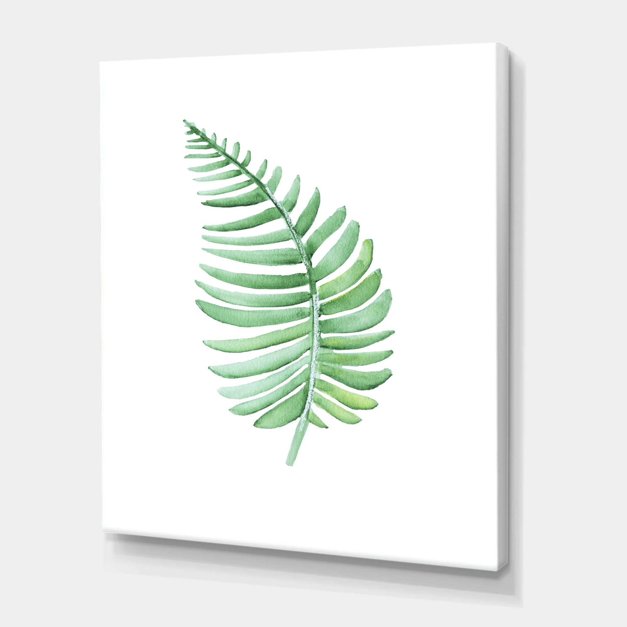 Designart ' Close Up Of Tropical Leaf Of Monstera III ' Farmhouse Canvas Wall Art Print