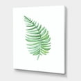 thumbnail image 3 of Designart ' Close Up Of Tropical Leaf Of Monstera III ' Farmhouse Canvas Wall Art Print, 3 of 4