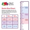 thumbnail image 4 of Fruit of the Loom Toddler Low-Cut Socks, 10-Pack, Size 6M-5T, 4 of 6