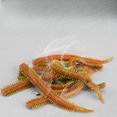 thumbnail image 5 of 20PC BIQIANWO Fishing Lures Imitation  Sandworm Soft Bait High-Quality Tear-Resistant Bionic Soft Worm with Fishy Salted Earthworm Rig Bait, 5 of 9