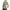 Green, variant on Frostluinai Womens Workout Zip Up Jackets Long Sleeve Slim Fit Athletic Jackets Solid Color Comzy Jacket Lightweight Hiking Jackets with Pocket