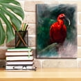 thumbnail image 3 of Epic Graffiti 'Scarlet Ibis' by Robert Campbell, Canvas Wall Art, 12"x16", 3 of 8