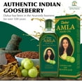 thumbnail image 4 of DABUR Huile Capillaire Amla 200 ml, 4 of 6