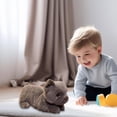 thumbnail image 4 of Musatteng Corgi Plush Toy - Realistic Stuffed Dog with Weighted Paws for Calming Sensory Play, Hypoallergenic & Machine-Washable for Kids Ages 3+, 4 of 4