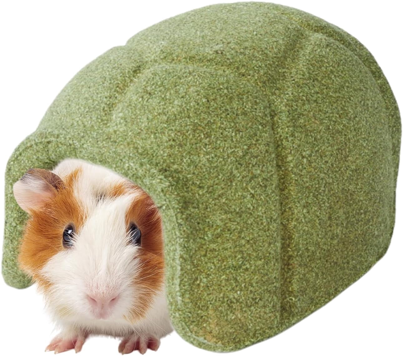 Hamster Chew Toy, Turtle Shell Hideout, All-Season, for Fancy Hamsters