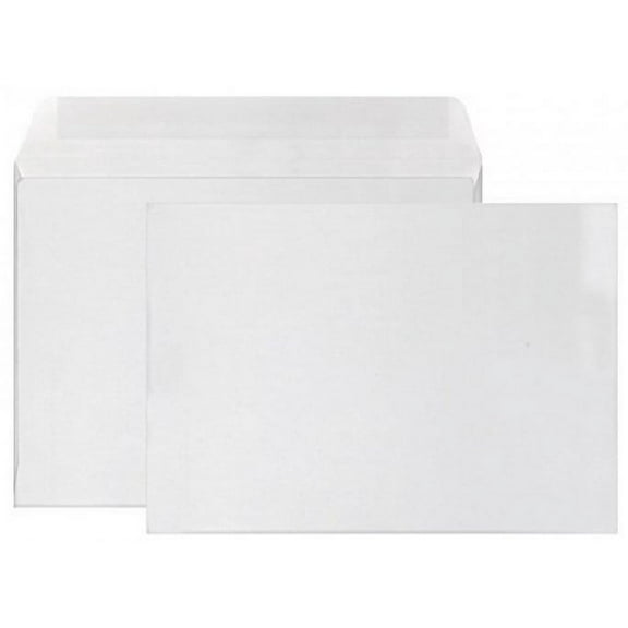 PrintMaster 24# 9 x 12-Inch Booklet Envelopes White Wove (250-Count)