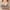 Gray, variant on snowsong Wireless Bras for Women,New 2024 Women's Comfortable Breathable Non-Steel Ring Beautiful Back Large Size Wireless Bra,Bras for Women,Push up Bras,Womens Clothing,(Promotion) Beige L