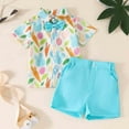 thumbnail image 2 of Jhhlsf Boys Outfit Sets Bunny Carrot Print Short Sleeve Casual Summer T Shirt Shorts Outfits, 2 of 9