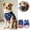 Blue, variant on Pet Tank Top with American Flag Design Patriotic Star-and-Stripes Mesh Sleeveless Shirt Breathable Dog Clothing for Summer USA 250th Anniversary 4th of July Independence Day Memorial Day Party