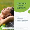 thumbnail image 4 of Youtheory Mushroom Immune Complex - Vegan Immune Support Supplement* - Organic Mushroom Blend with Chaga, Cordyceps, Lion's Mane, Maitake & More - 60 Vegetarian Capsules, 4 of 8