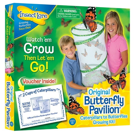 Insect Lure - BUTTERFLY PAVILION