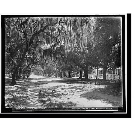 Historic Print, Ridgewood Ave., Daytona, Fla., 18" x 24"