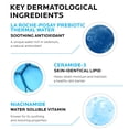 thumbnail image 4 of La Roche-Posay Hidratante con ceramida y niacinamida no comedogénica(3pcs), 4 of 6