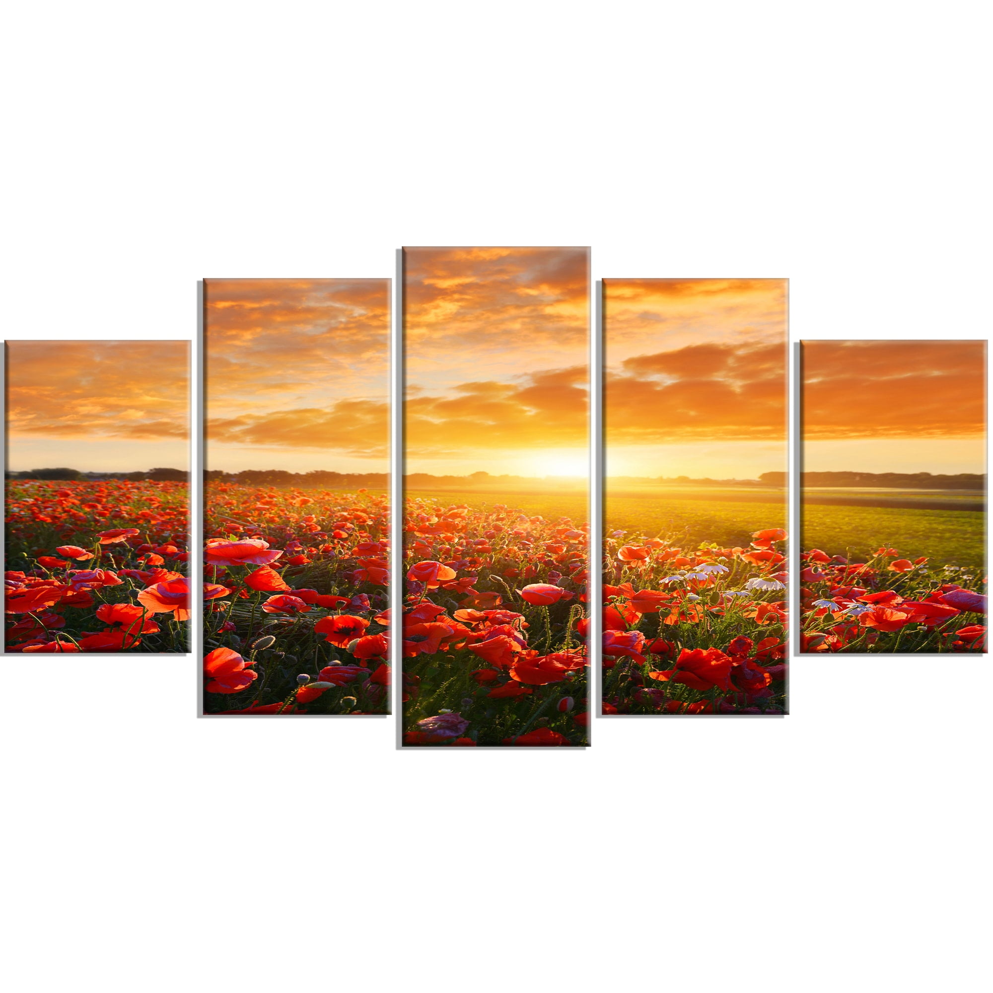 Designart 'Beautiful Poppy Field at Sunset ' Abstract Wall Art Canvas