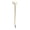 B, variant on Pen 2 Novelty Bone Shape Ballpoint Pen for Doctors and Students – Quirky Finger Pen Stationery Idea
