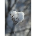 thumbnail image 2 of Bonin, Suzanne 19x24 White Modern Wood Framed Museum Art Print Titled - Icewine, 2 of 4