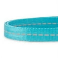thumbnail image 2 of Vibrant Life Solid Nylon Dog Collar, Teal, Small, 2 of 6