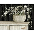 thumbnail image 3 of Jacobs, Cindy 14x12 Black Modern Framed Museum Art Print Titled - Apple Blossom Beauty II, 3 of 5