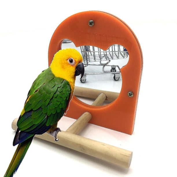 Palo acrílico del soporte del juguete del loro del espejo del pájaro