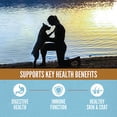 thumbnail image 2 of High Protein, Amazing Grains Six Fish Dry Dog Food 22.5 lbs, 2 of 2