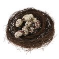thumbnail image 2 of Huevos decorativos BLESIY Huevo de codorniz Huevos de Pájaro Artificial 12 pulgadas, 2 of 8