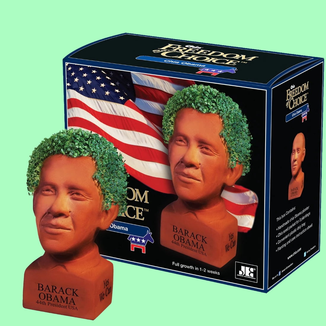 Chia Pet Barack Obama Special Edition Political Junkie Decorative Pottery Planter