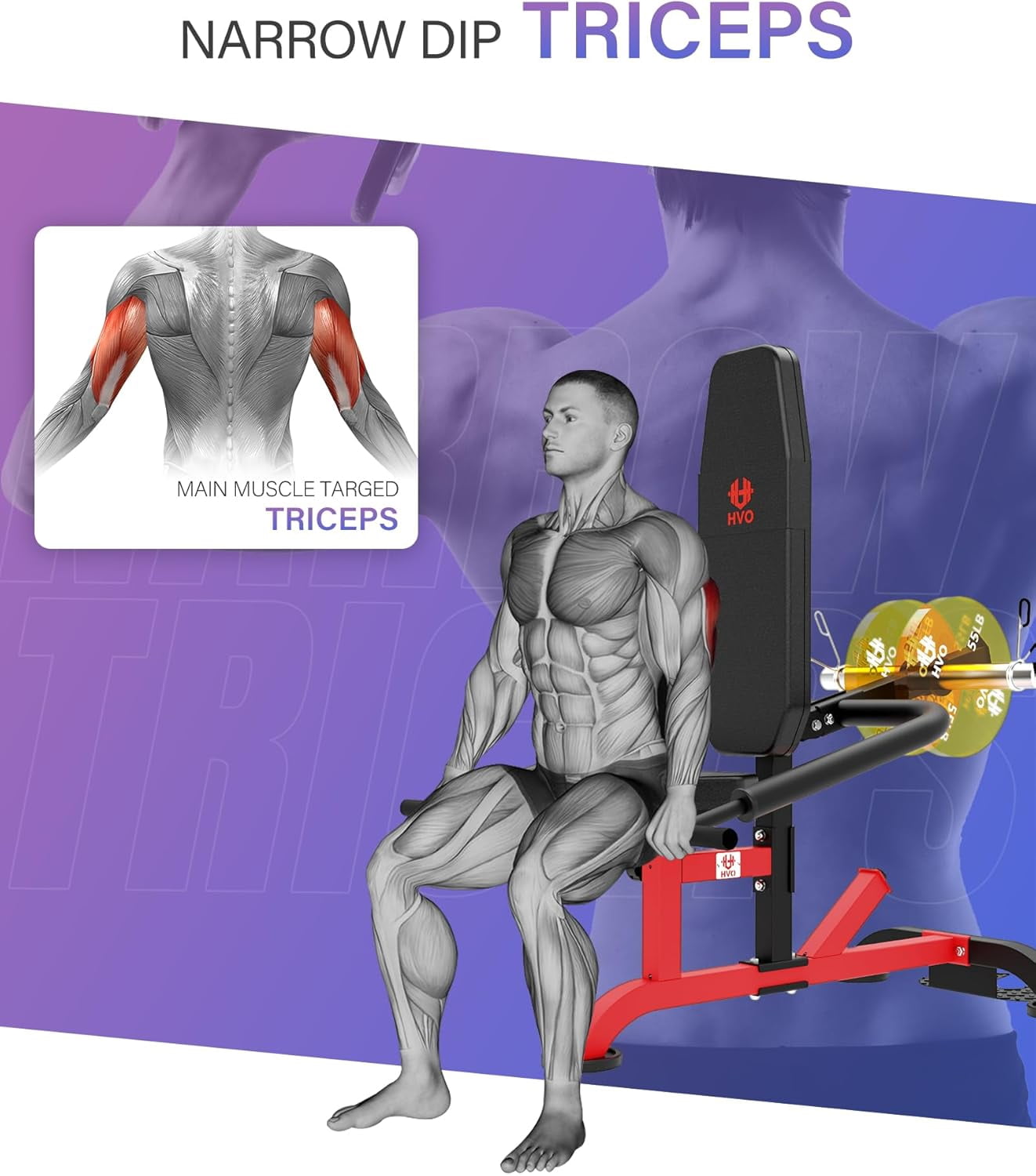 HVO Seated Dip Machine Tricep: Dip Machine Exercise for Biceps Plate Loaded Home Gym Strength Training Equipment