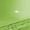 Green, variant on Open Anti-Splashing Cats Litter Box with High Side, Cat Toilet Pan with Litter Sifting Scoop, Semi-Enclosed Removable Litter Box for Kittens Easy to Clean No Odork