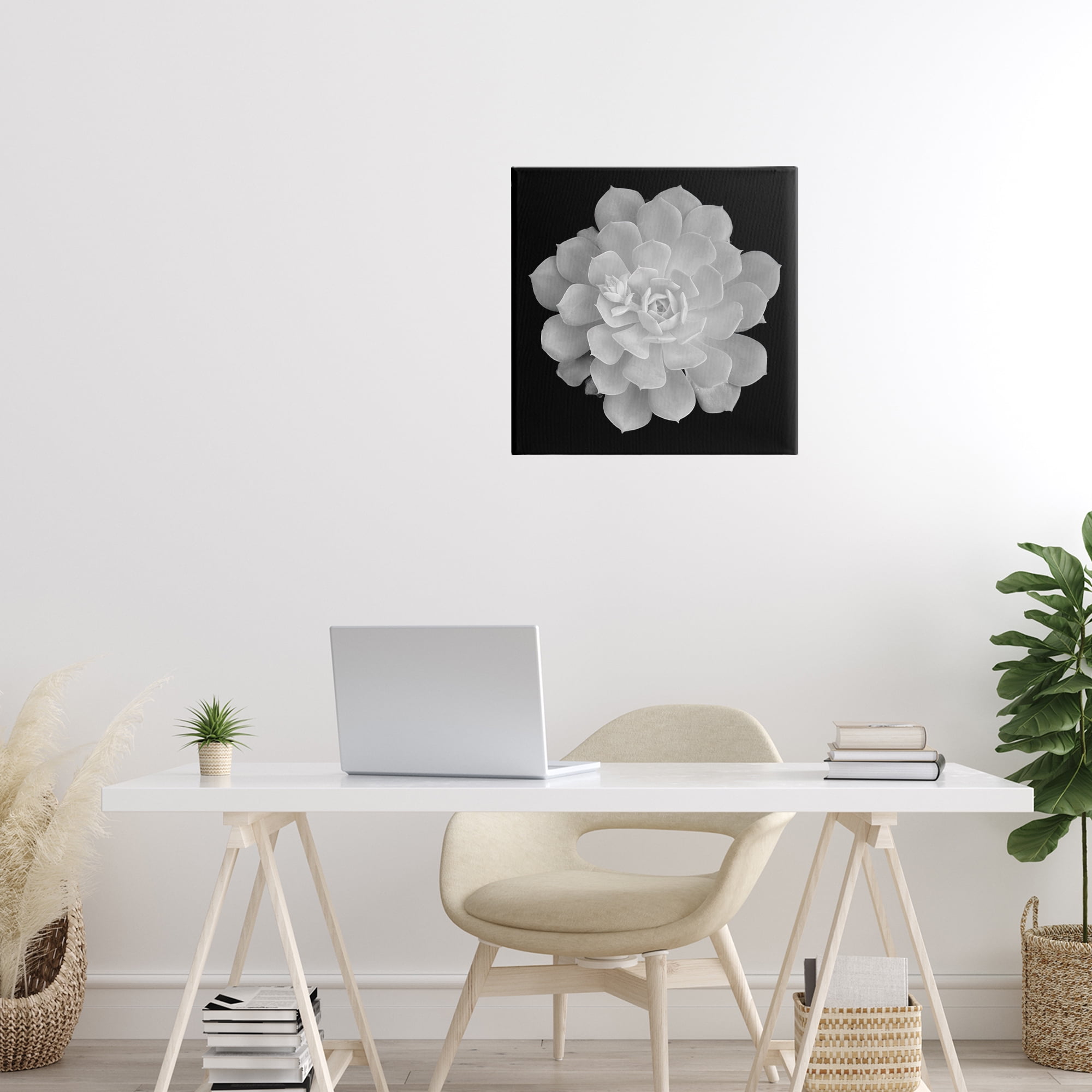 Pure White Succulent Contrast Canvas Wall Art, design by Phillip Flowers