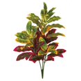 thumbnail image 1 of Croton de 34 Po Plis et Buisson de 44 Po; Multicolore, 1 of 1