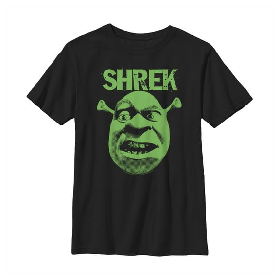 Boy's Shrek Big Face Eyebrow Raised Graphic Tee Black X Small