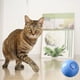 thumbnail image 3 of Inteligente Juguete Interactivo para Mascotas con Sonido - Rodante Automático para Perros y Gatos - Juguete de Ejercicio ABS Durable para Aliviar Ansiedad, 3 of 7