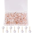 thumbnail image 1 of Push Pins 1/3 Inch Rose Gold Map Tacks 100-Count Large Size Pins Rose Gold Steel Point and Transparent Plastic Round Head, 1 of 6